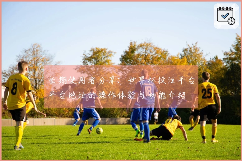 长期使用者分享：世界杯投注平台平台地址的操作体验与功能介绍