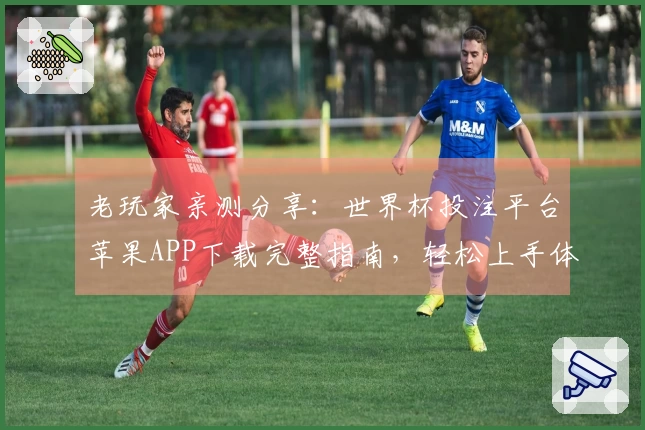 老玩家亲测分享：世界杯投注平台苹果APP下载完整指南，轻松上手体验