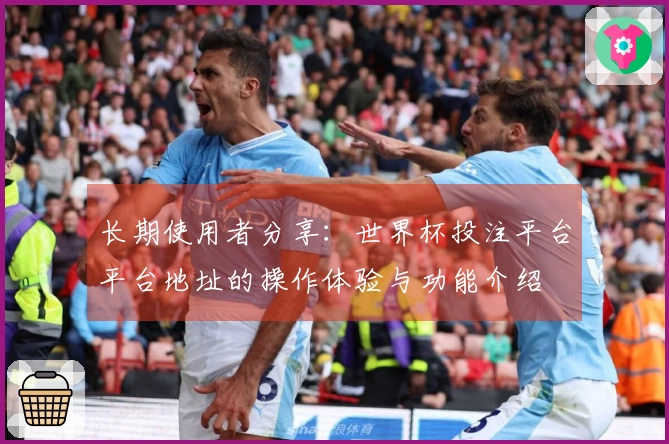 长期使用者分享:世界杯投注平台平台地址的操作体验与功能介绍
