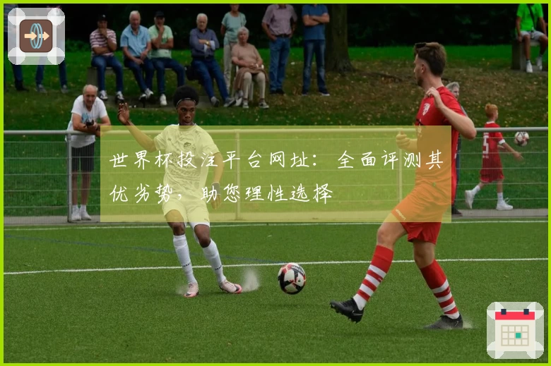 世界杯投注平台网址：全面评测其优劣势，助您理性选择