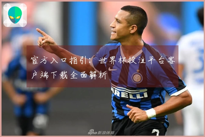 官方入口指引:世界杯投注平台客户端下载全面解析