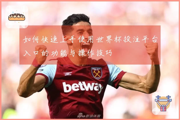 如何快速上手使用世界杯投注平台入口的功能与操作技巧