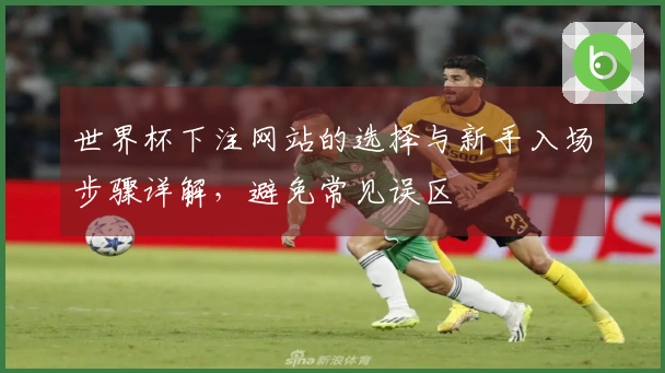世界杯下注网站的选择与新手入场步骤详解，避免常见误区