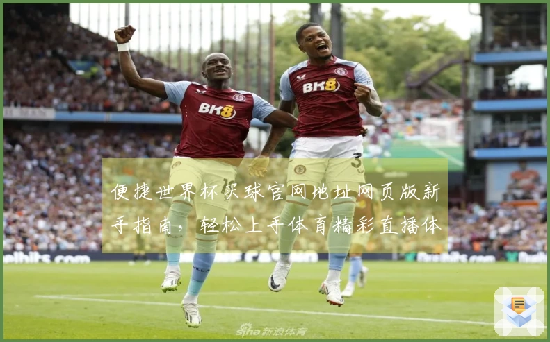 便捷世界杯买球官网地址网页版新手指南，轻松上手体育精彩直播体验