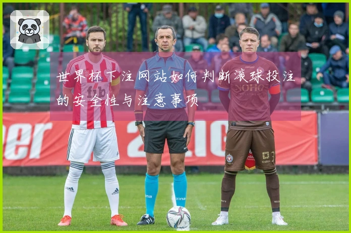 世界杯下注网站如何判断滚球投注的安全性与注意事项