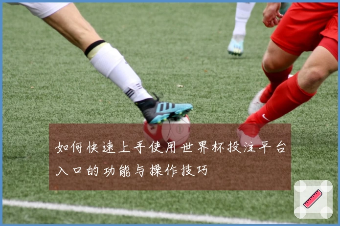 如何快速上手使用世界杯投注平台入口的功能与操作技巧