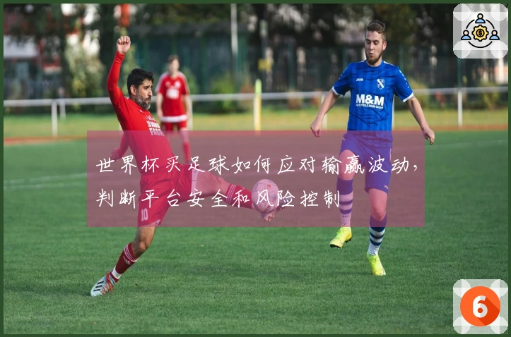 世界杯买足球如何应对输赢波动，判断平台安全和风险控制