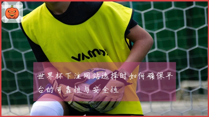 世界杯下注网站选择时如何确保平台的可靠性与安全性