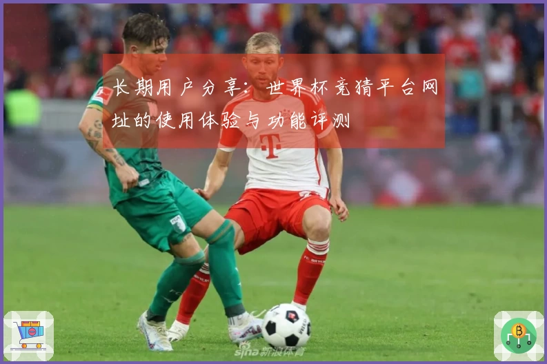 长期用户分享：世界杯竞猜平台网址的使用体验与功能评测