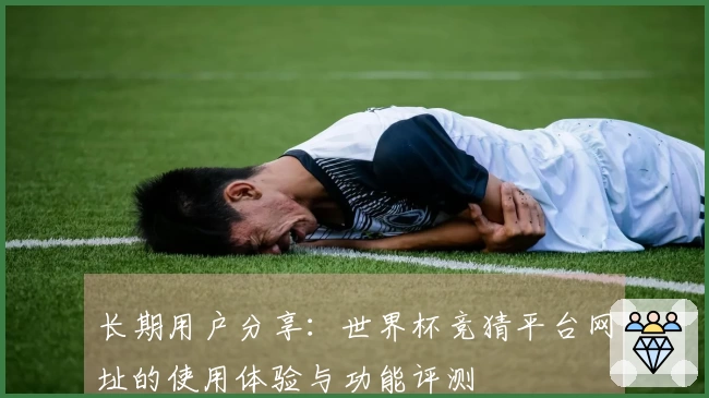 长期用户分享：世界杯竞猜平台网址的使用体验与功能评测